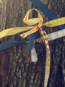ribons around tree
